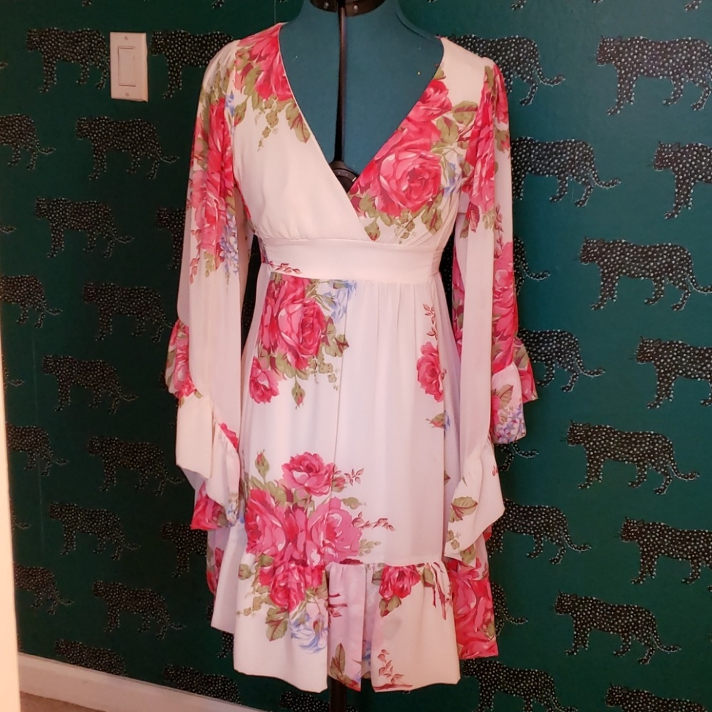 Beautiful Betsey Johnson dress